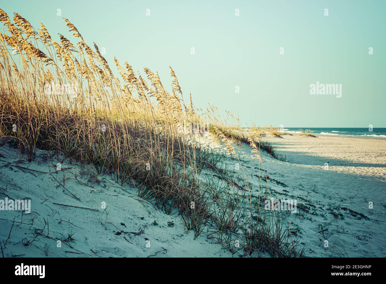 A serene pale view of sea grass covering the dunes in foreground with a distant Atlantic Ocean on Fernandina Beach, on Amelia Island, FL Stock Photo