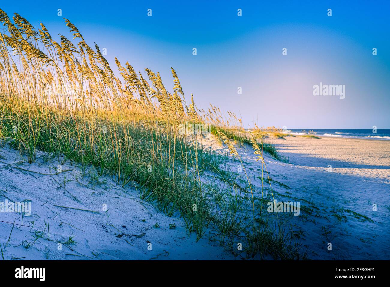 A serene view of sea grass covering the dunes in foreground with a distant Atlantic Ocean on Fernandina Beach, on Amelia Island, FL Stock Photo
