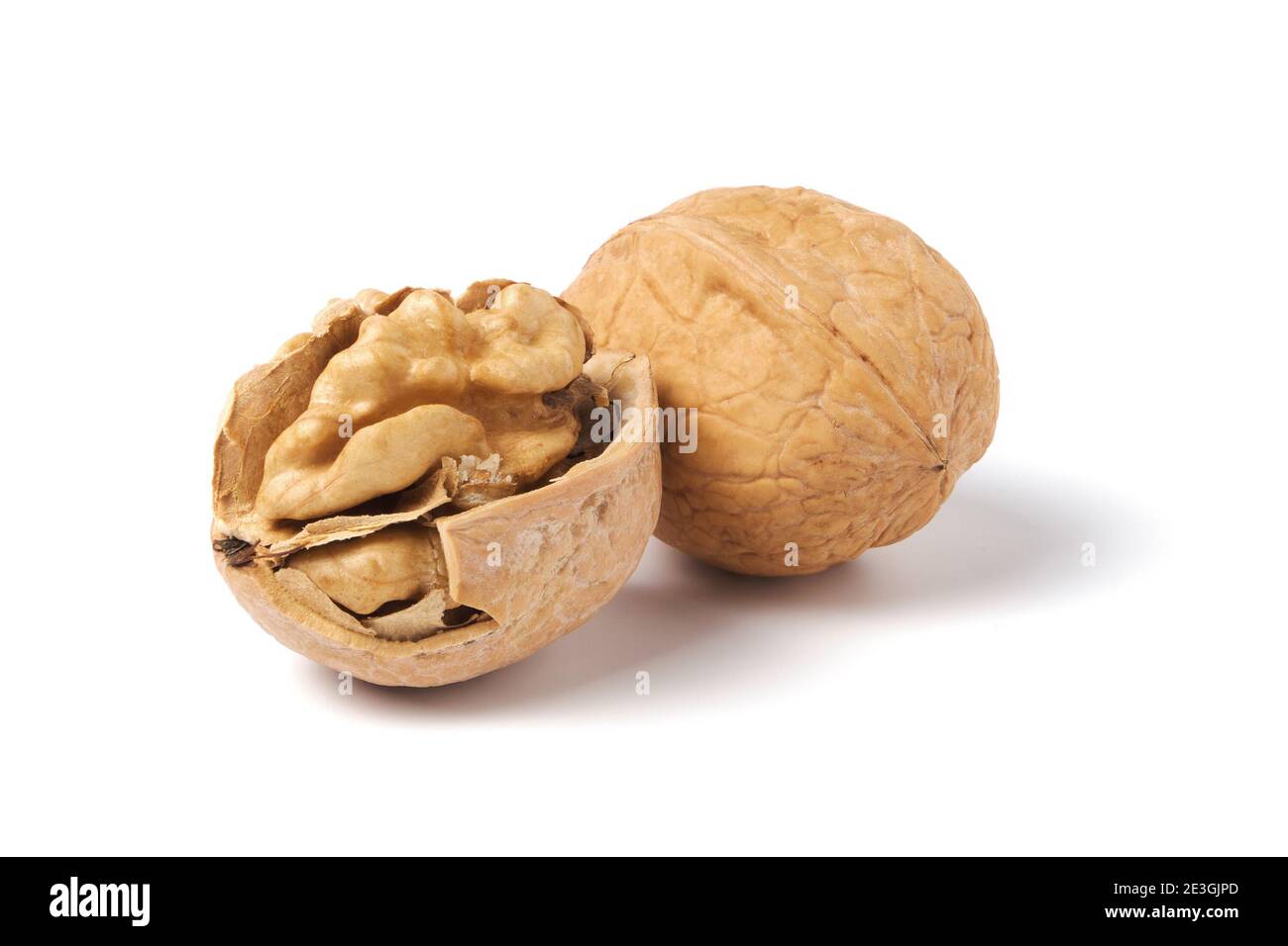 Walnuts isolated on white. Walnut in a nutshell Stock Photo