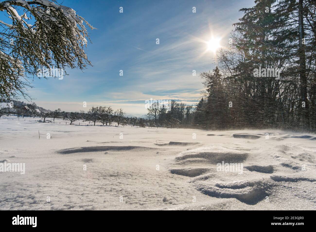 Fantastic snowshoe tour in the winter wonderland at the Gehrenberg near Lake Constance Stock Photo