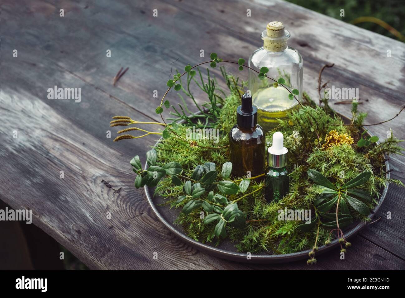 Bottles natural cosmetics serum, tinctures oil with fresh plants on wooden table Stock Photo