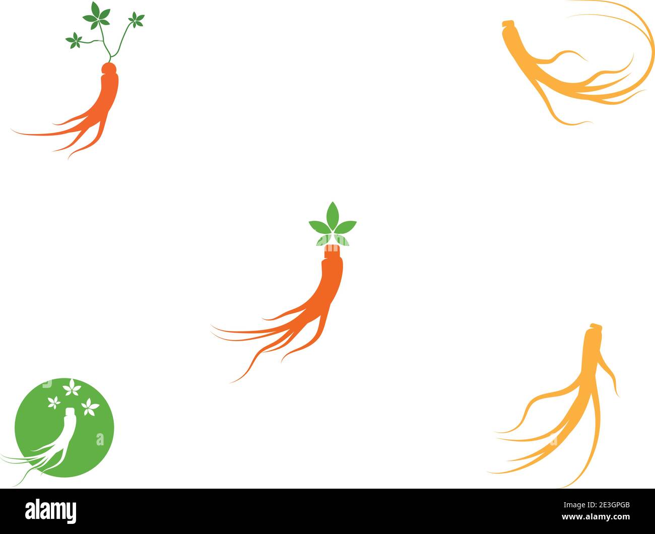 Set Ginseng Wave Logo Template vector symbol nature Stock Vector
