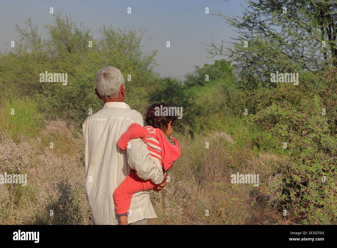 An Indian grandson and grandfather enjoying walking in the forest, india Stock Photo