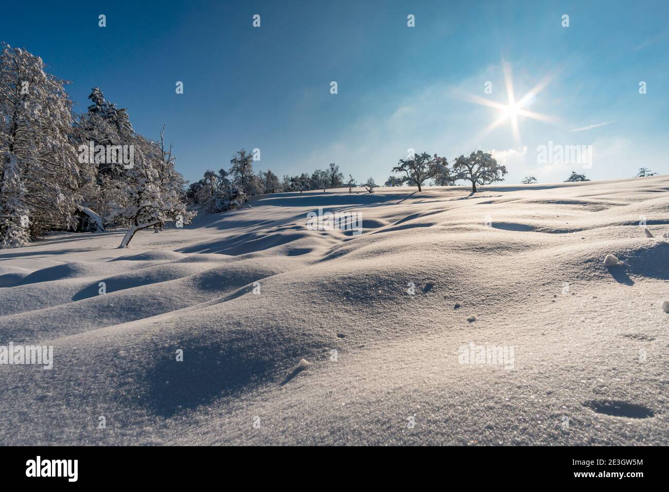 Fantastic snowshoe tour in the winter wonderland at the Gehrenberg near Lake Constance Stock Photo