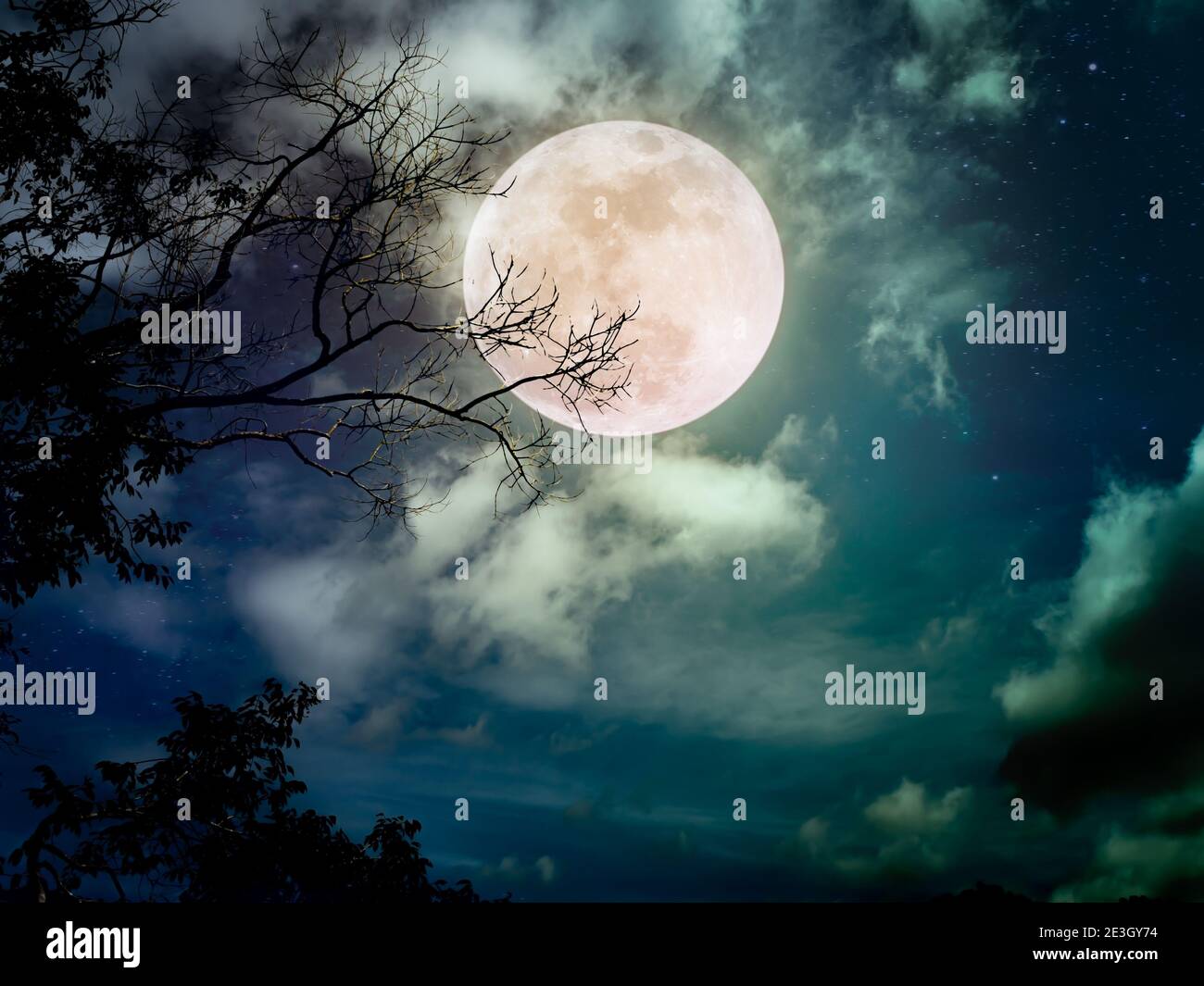 Landscape of dark night sky with many stars. Beautiful bright full moon  above wilderness area in forest. Serenity nature background Stock Photo -  Alamy, image size:1300x1065