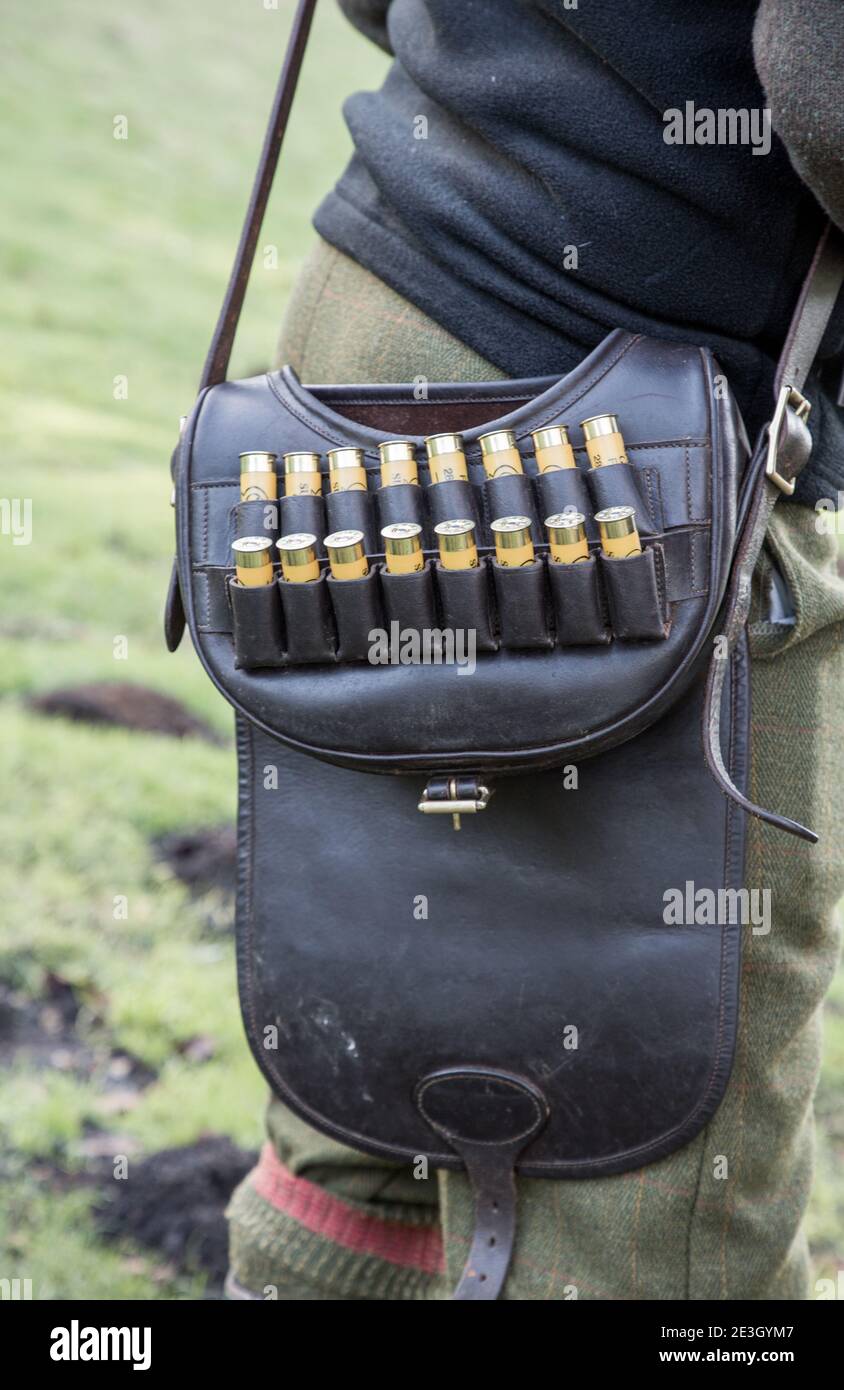 Shotgun shells in a loaders leather bag on a pheasant shoot in the rural Oxfordshire countryside. Stock Photo