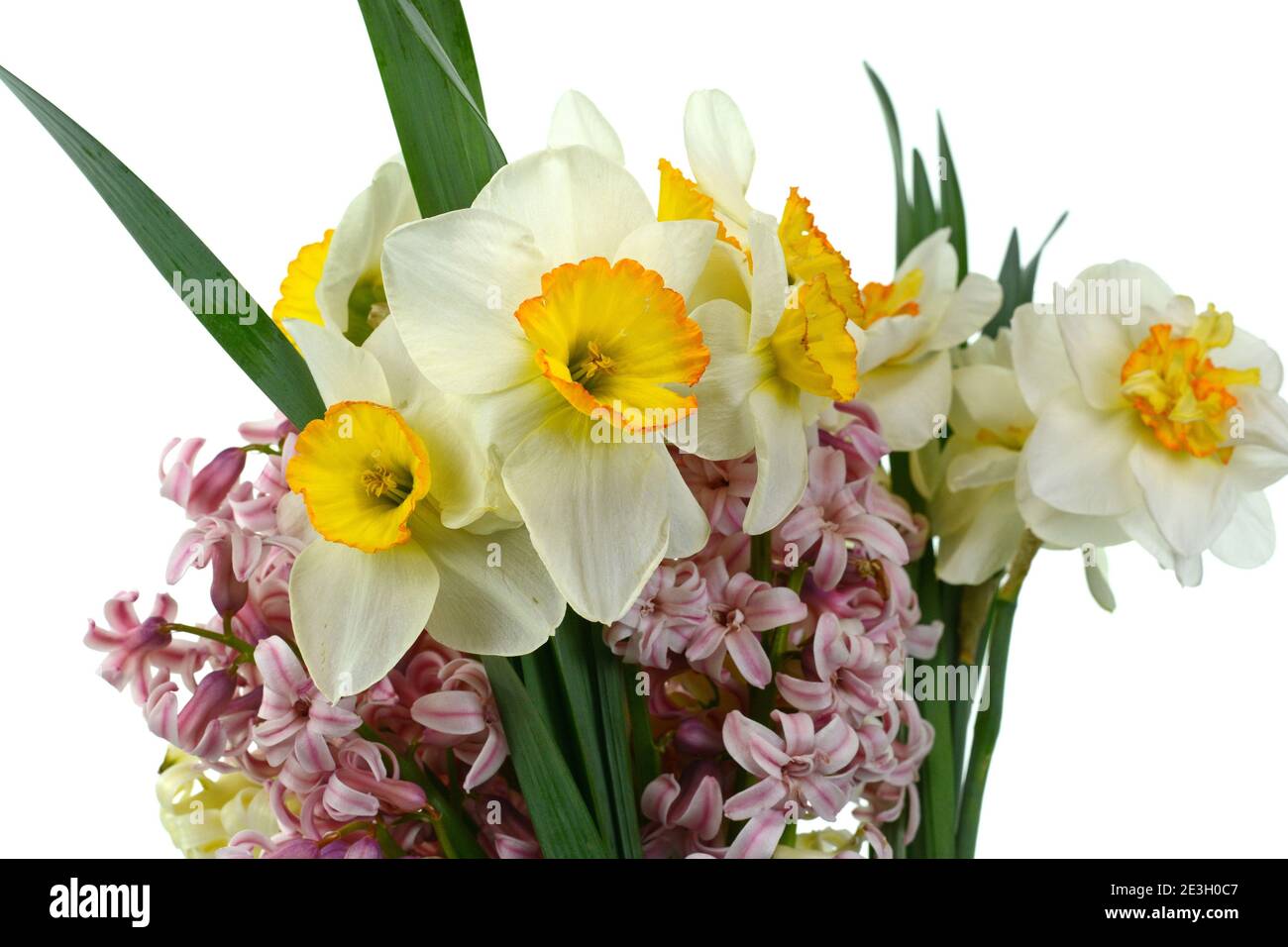 Spring bouquet of flowers isolated on white background. Blue Hyacinth ...