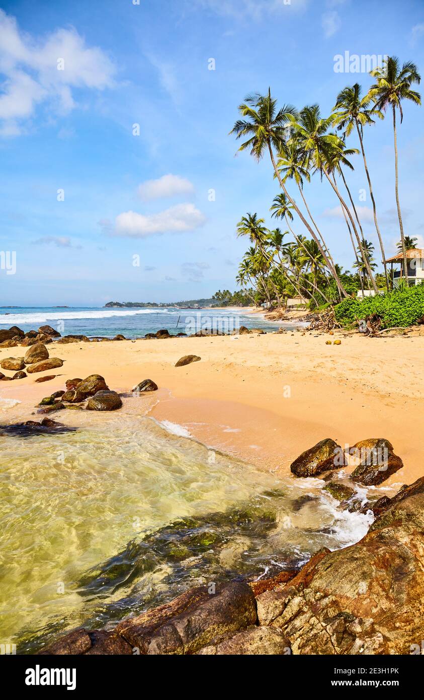 Tropical beach with coconut palm trees on a sunny summer day Stock ...
