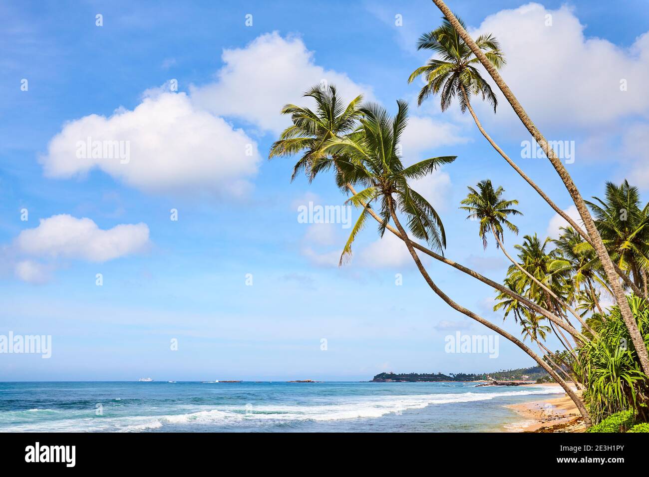 Sunny beach day palm trees hi-res stock photography and images - Alamy