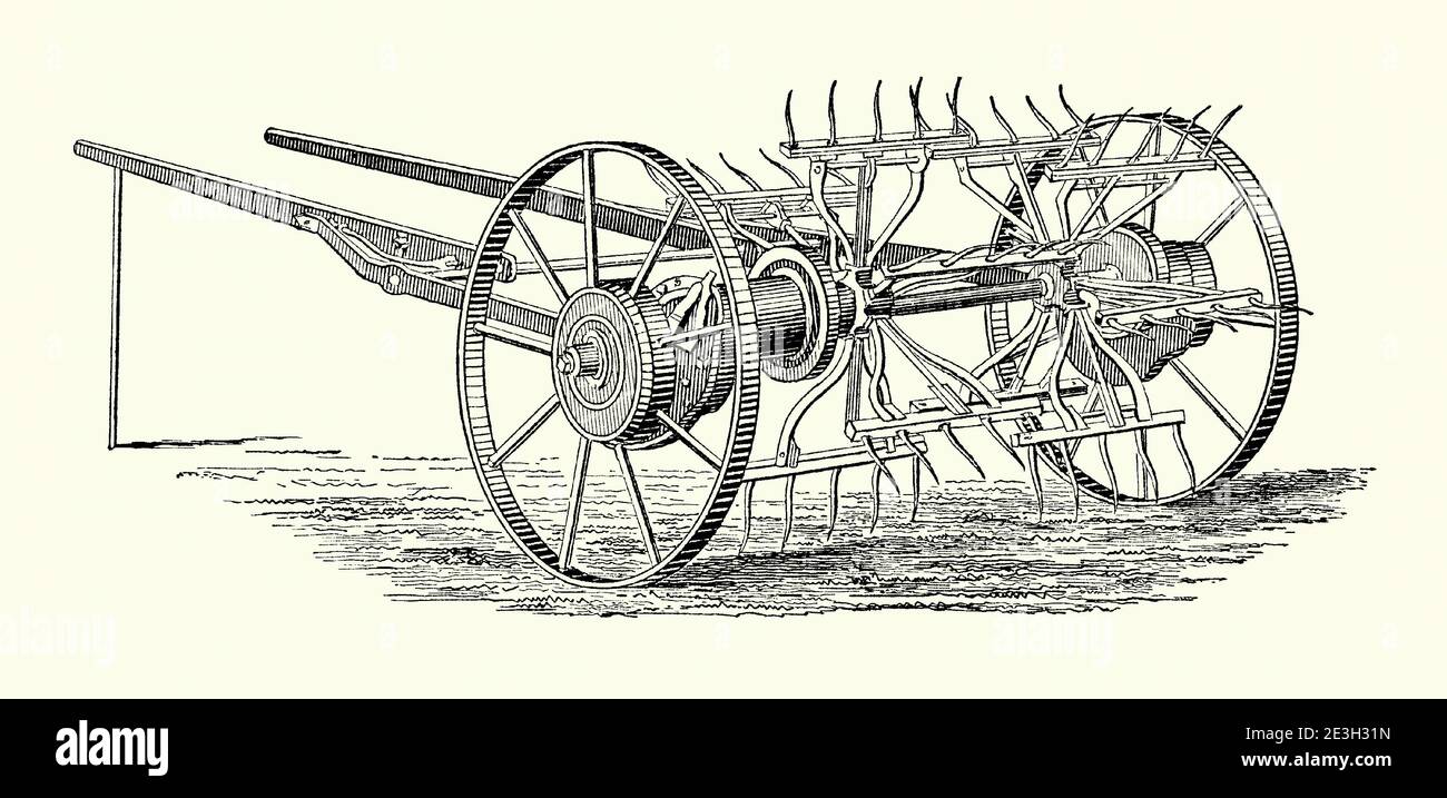An old engraving of an English hay tedder. It is from a Victorian mechanical engineering book of the 1880s. A tedder (hay tedder) is a machine used in haymaking. It is used after cutting and before collecting, using moving forks to aerate or ‘wuffle’ the hay and speed up the drying process. This tedder was pulled by a horse, with the rotation of the axle driving a gear which operated a number of arms with wire fingers (tines) at the ends. These picked up the hay and disperse it. Stock Photo