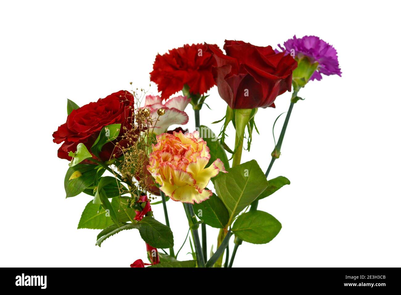Beautiful bouquet of carnation flower isolated on white background ...