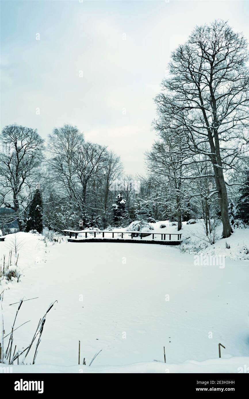 Wonderful white winter landscape with trees covered by snow after big snowfall, frozen lake and bridge, vertical Stock Photo