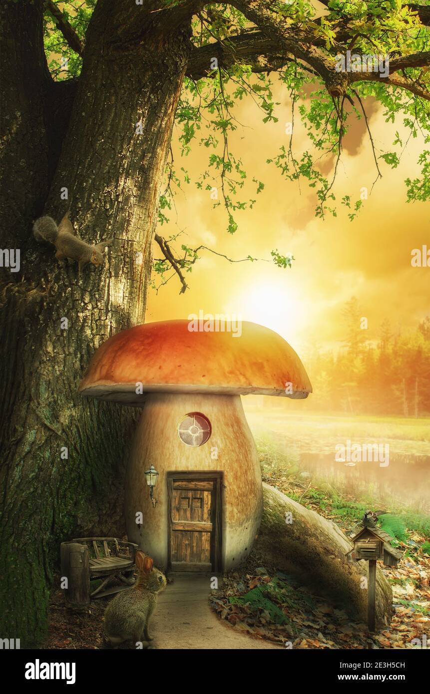 mushroom fairy house at the base of the tree on a sunny day Stock Photo