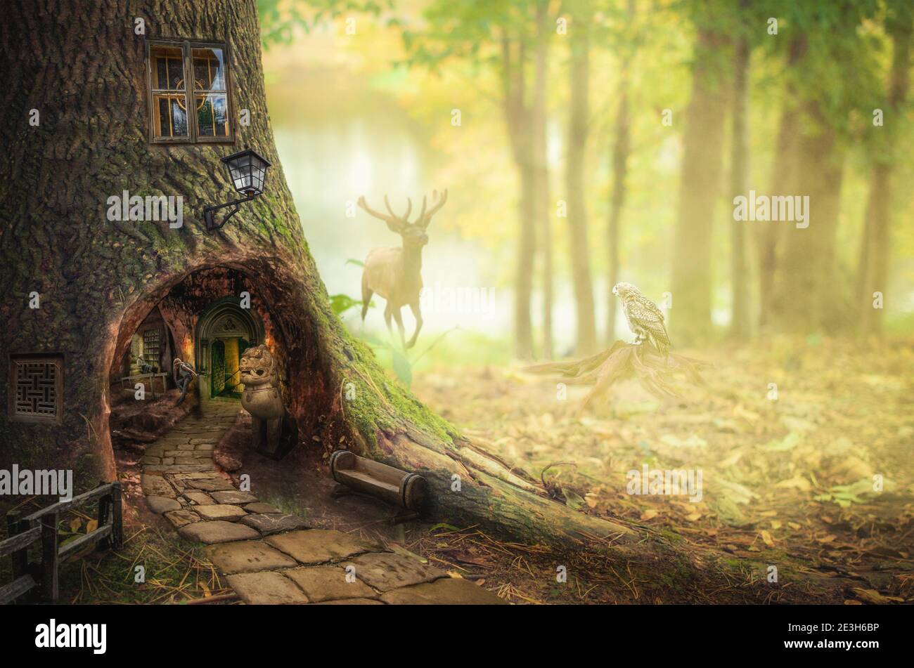 Girl in fairy forest found the secret entrance to the dungeon. Stock Photo