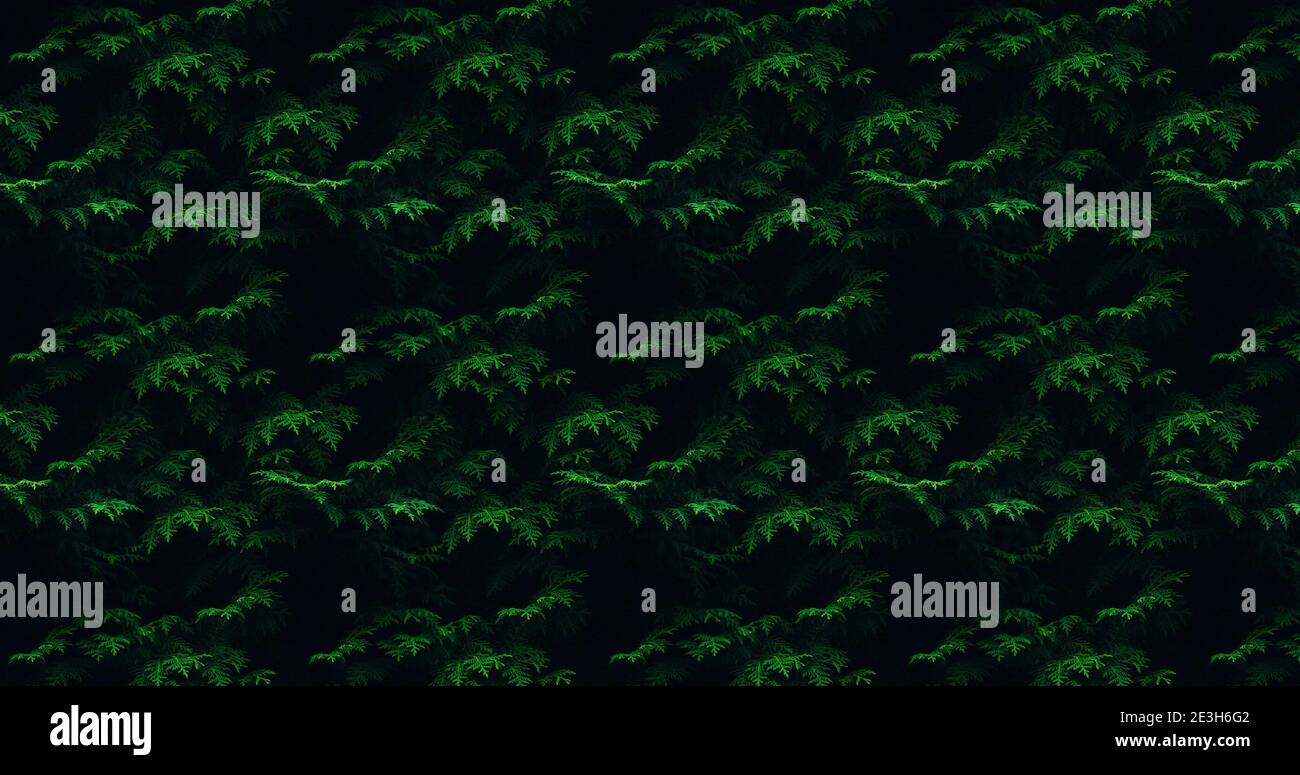 Branches and leaves background hi-res stock photography and images - Alamy