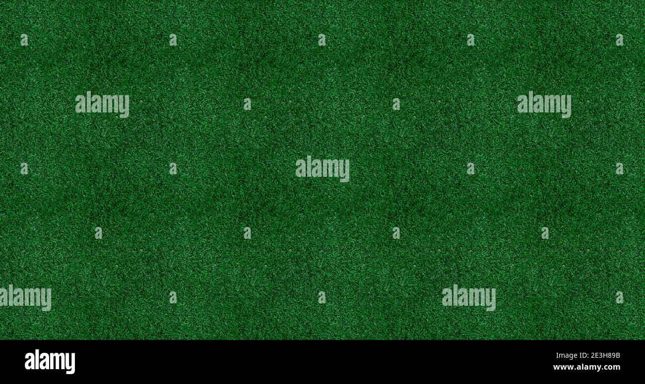 Green lawn grass texture background. Stock Photo