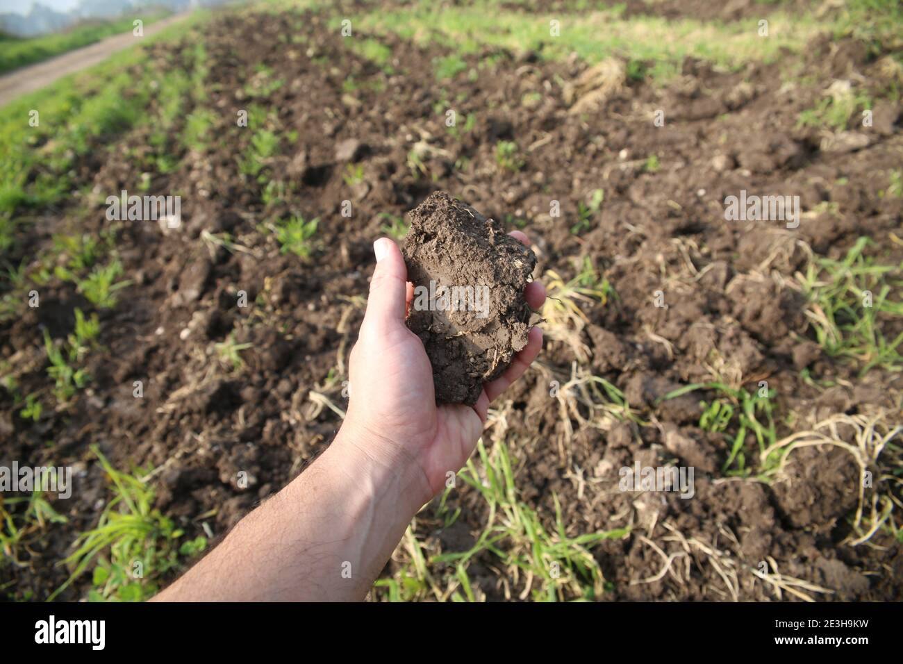 Growth and Agriculture concept A hand holds a clod of earth Stock Photo