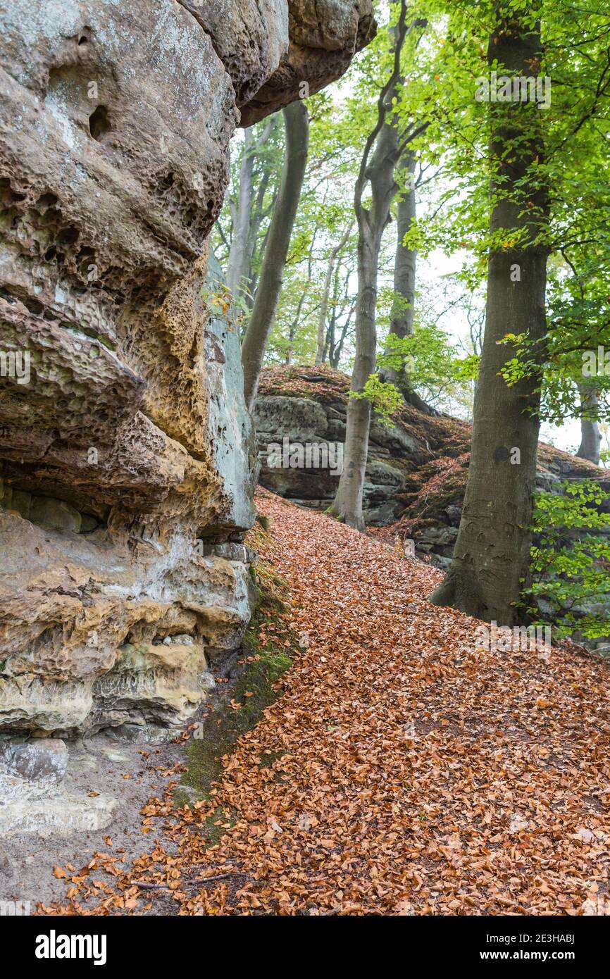 Forest scenery with rock formations in rural Luxembourg Stock Photo