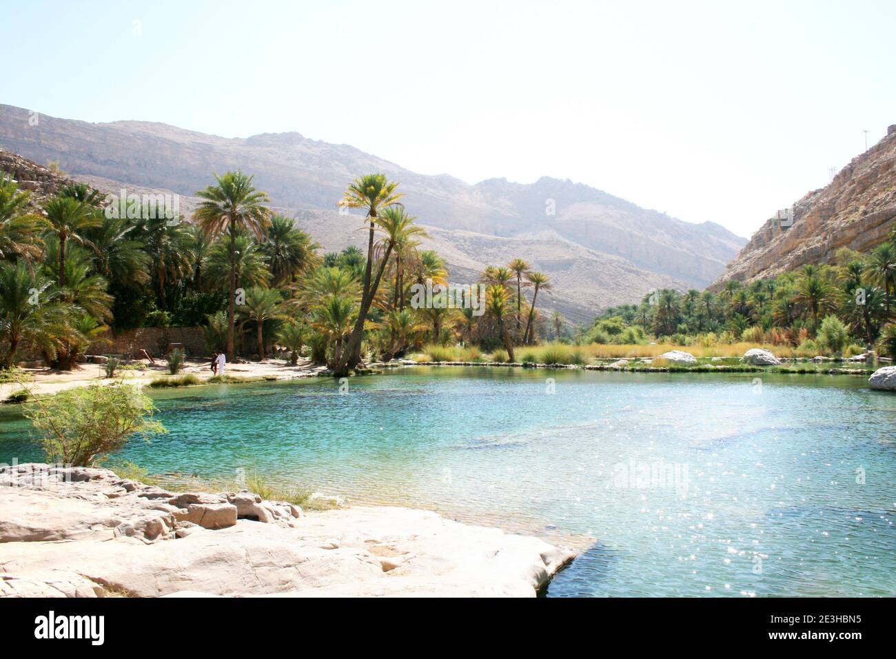 Beautiful emerald fresh water pools of the Oasis Wadi Bani Khalid in Oman Stock Photo