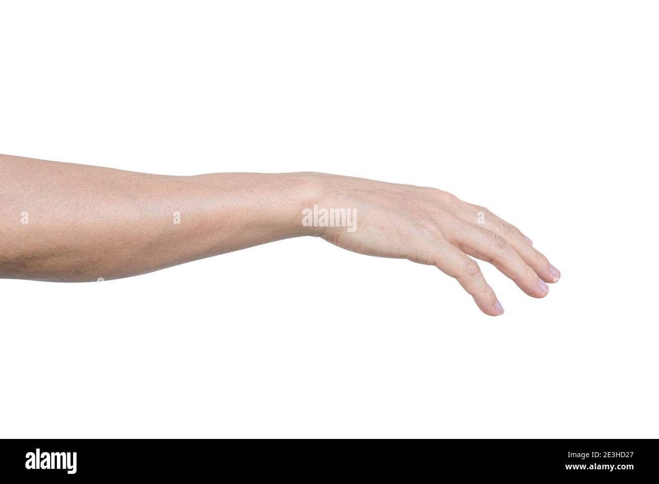Male hand isolated on white background with clipping path Stock Photo ...