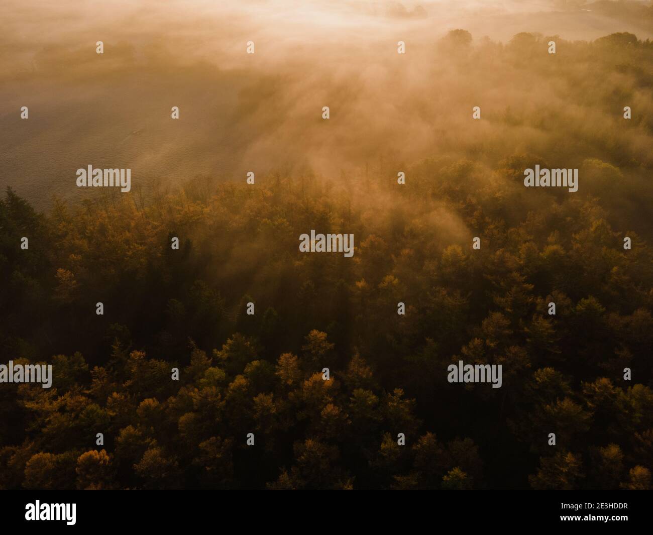 Beautiful autumn mist over the countryside at Sunrise, Near Wickham, Hampshire, UK. Stock Photo