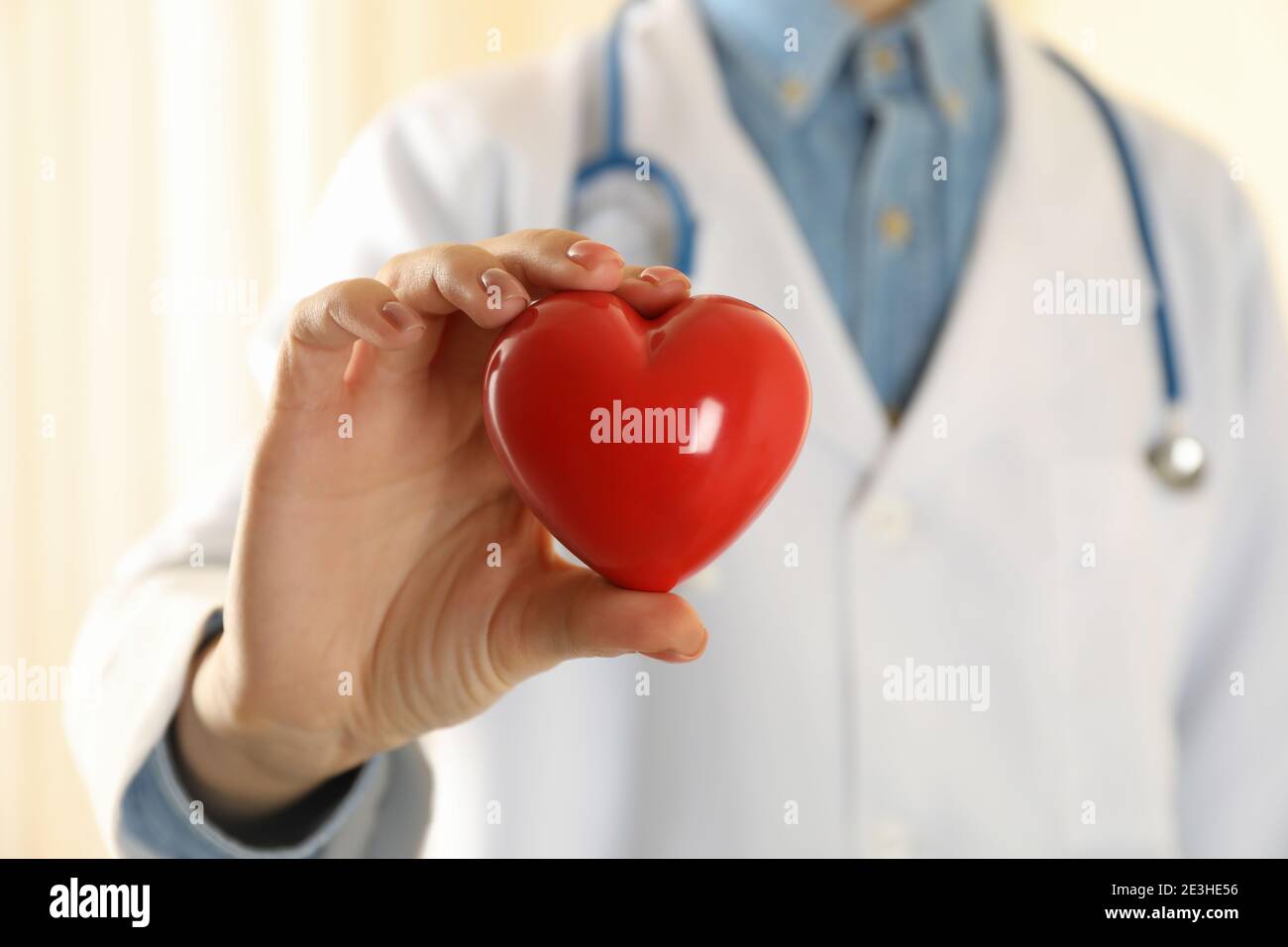 Female doctor with stethoscope holding red heart Stock Photo - Alamy