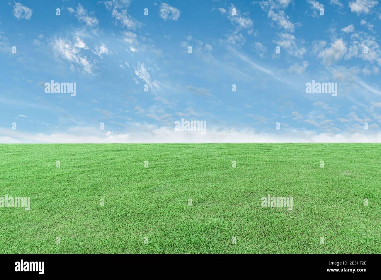 Green grass meadow and blue sky background. Natural field landscape ...