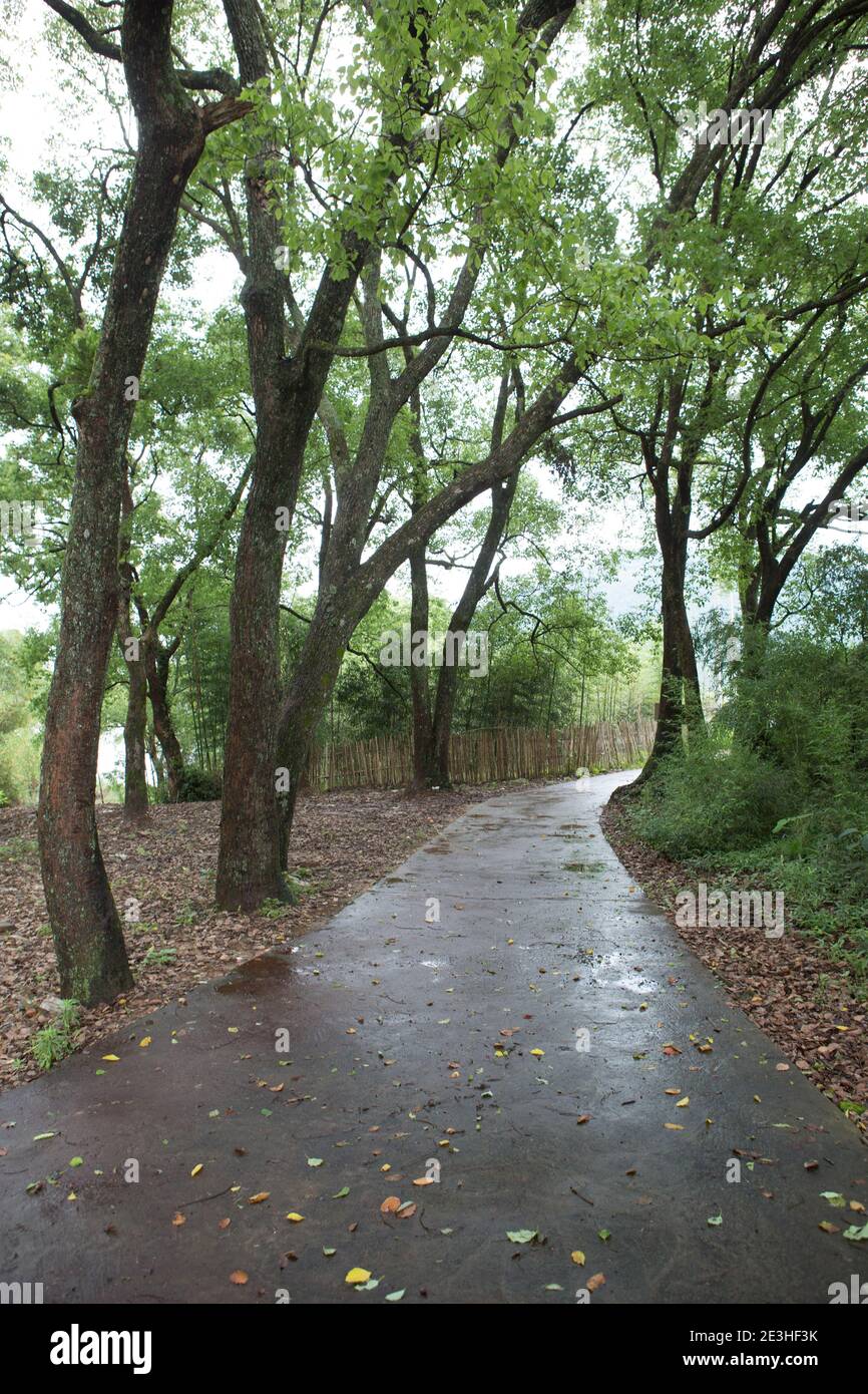 Photo of forest people hi-res stock photography and images - Alamy