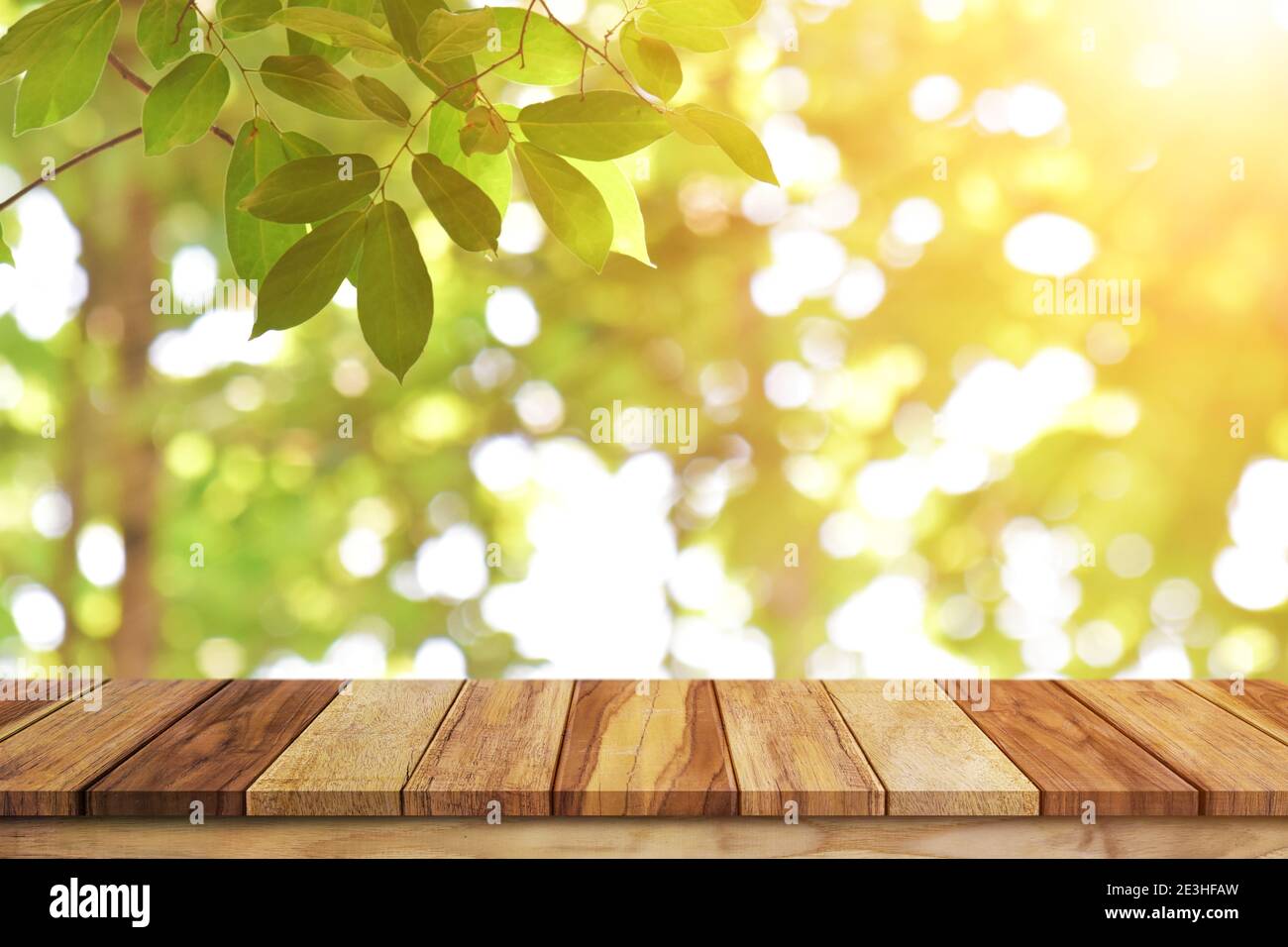 Empty wood table top over blur green nature background for product ...