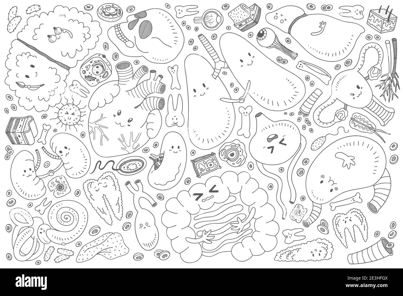 Hand drawn organs or vital set doodle vector background Stock Vector ...