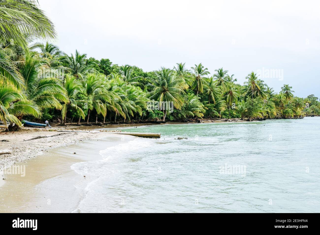 Beautiful, tropical beach with palm trees on Isla Colón in Panama Stock Photo