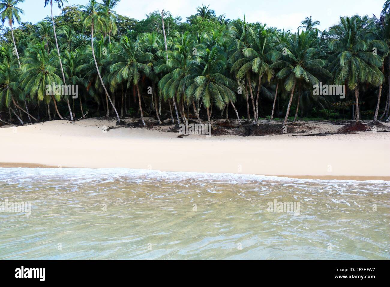 Beach on the tropical Principe Island seen from the water looking on the plam trees in front of the shore Stock Photo