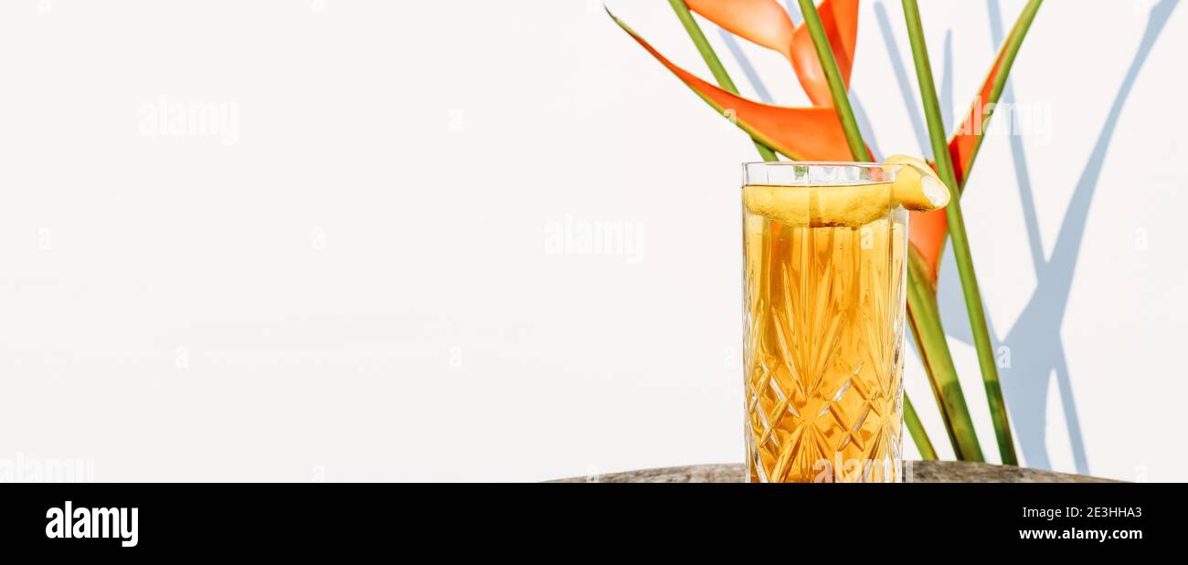 Banner with a glass of Ice Tea drink isolated against a white wall with plant shadows Stock Photo