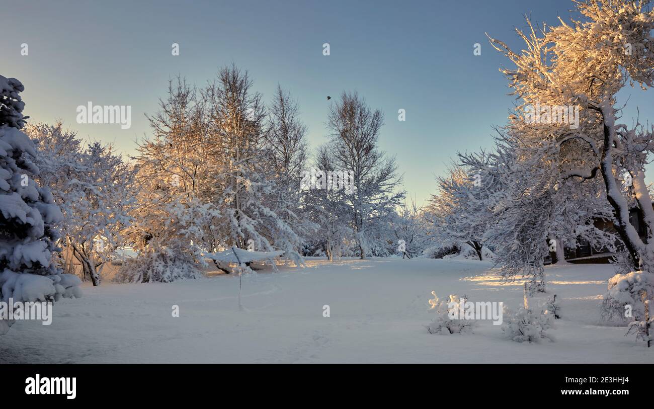 With bright morning winter sunshine, heavy snowfall covers the moorland smallholding garden Stock Photo