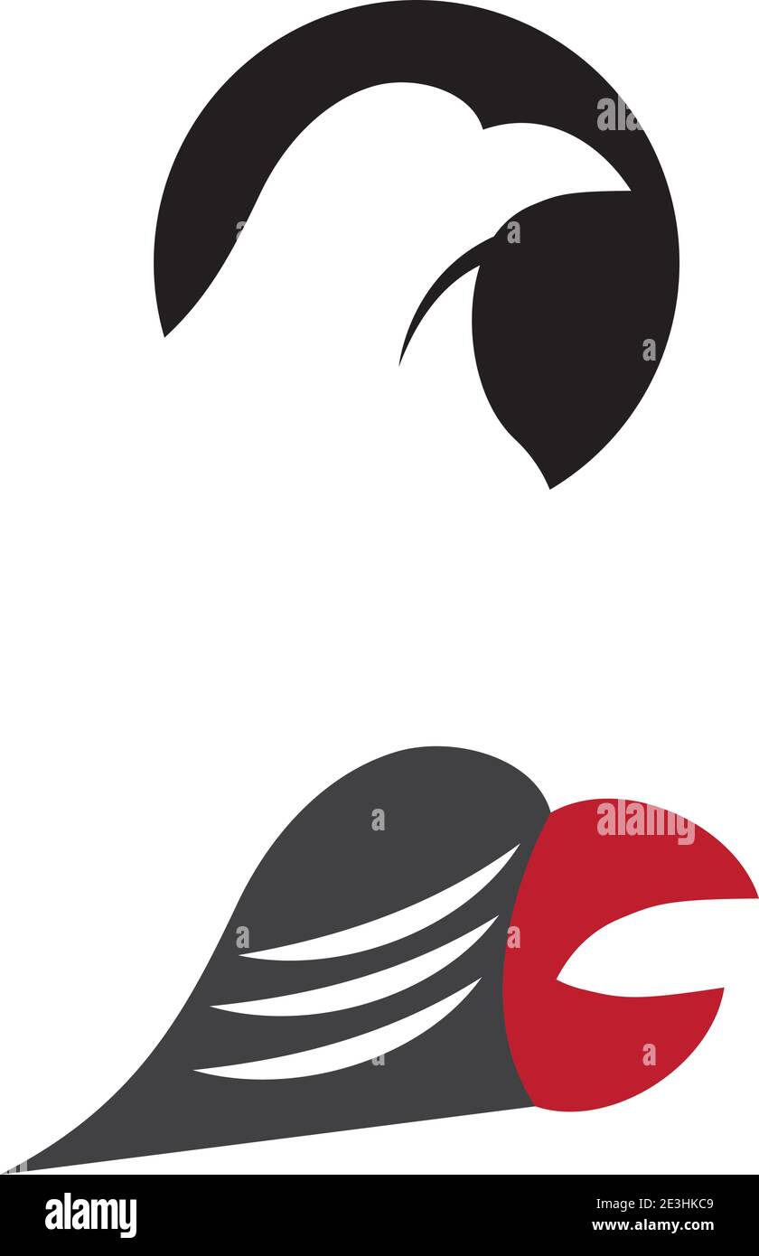Falcon eagle birdWave Logo Template vector symbol nature Stock Vector