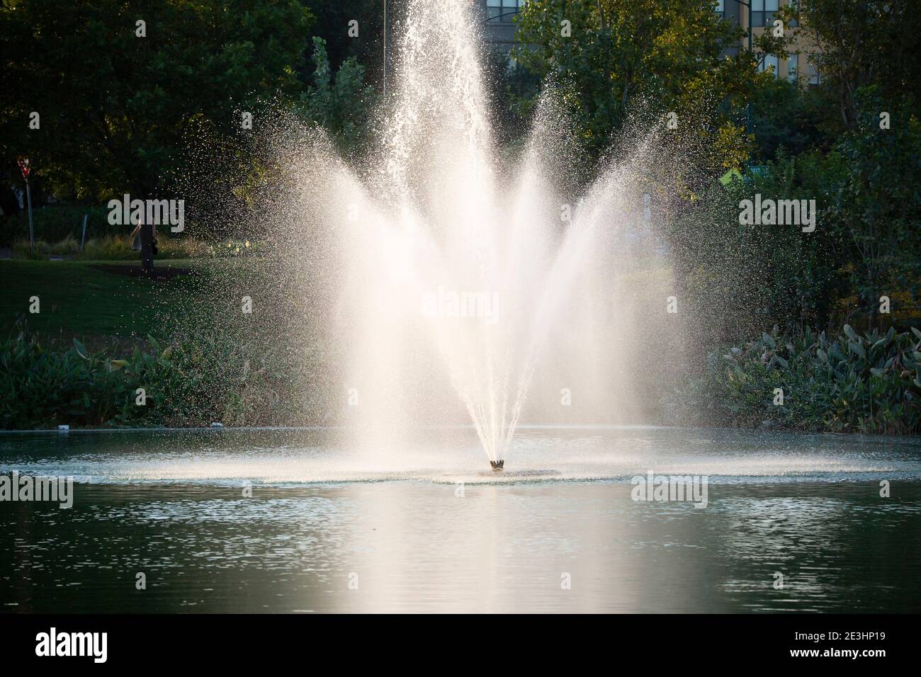 Water shooting from water fountain jets in a large water fountain Stock Photo