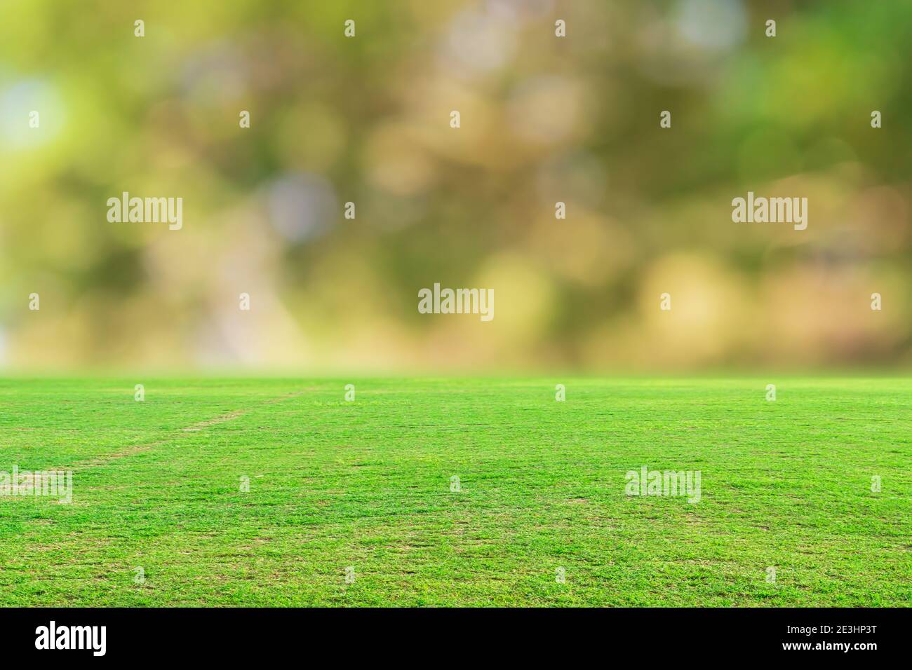 Green grass field and blurred bokeh nature background Stock Photo Alamy