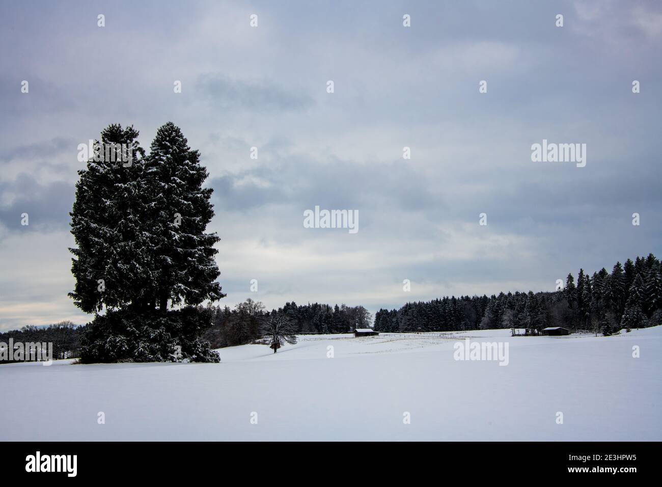 Outdoors winter scenic on a cold and snowing day in central Europe Stock Photo