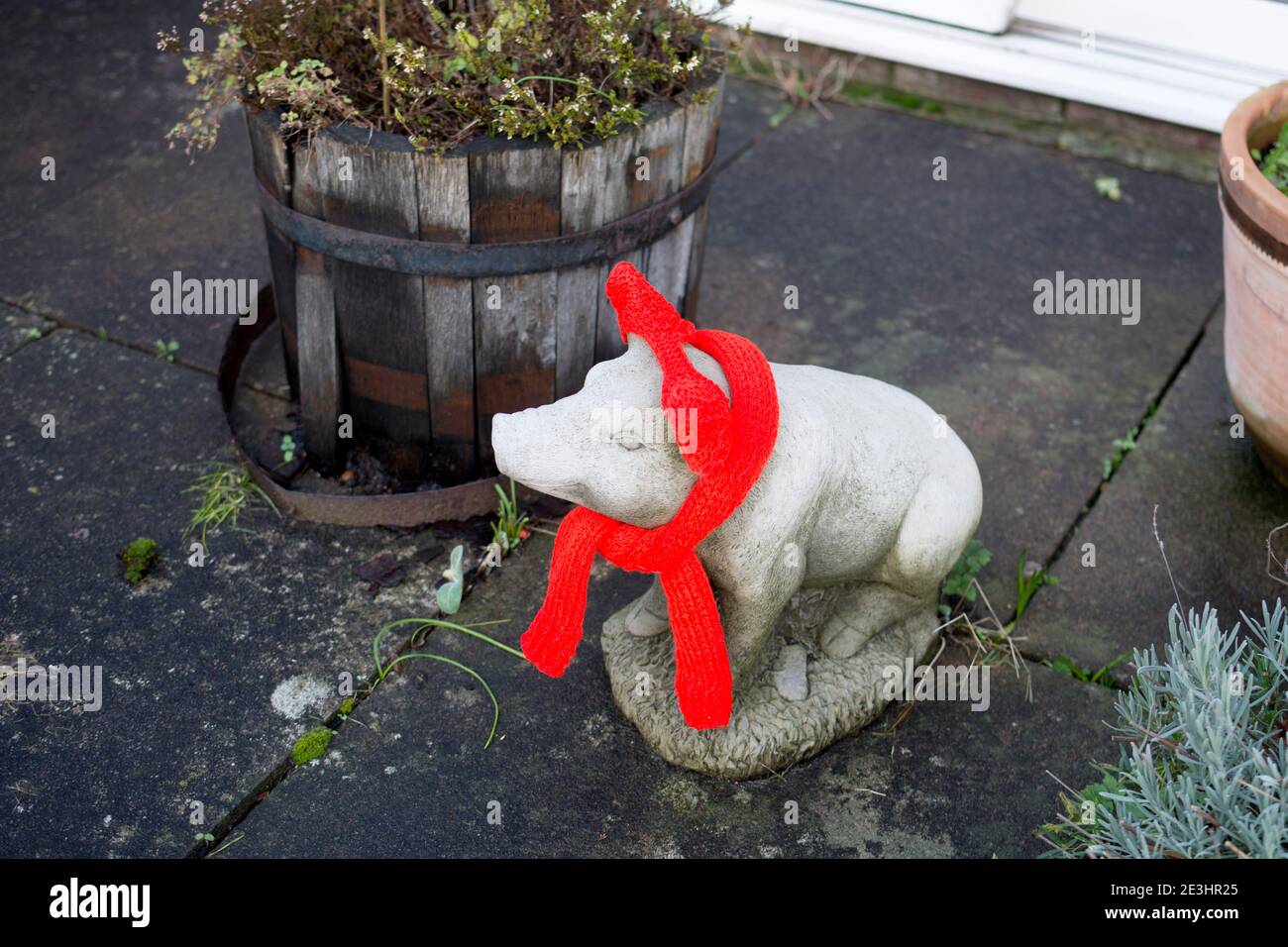 A concrete model pig wearing a red scarf Stock Photo