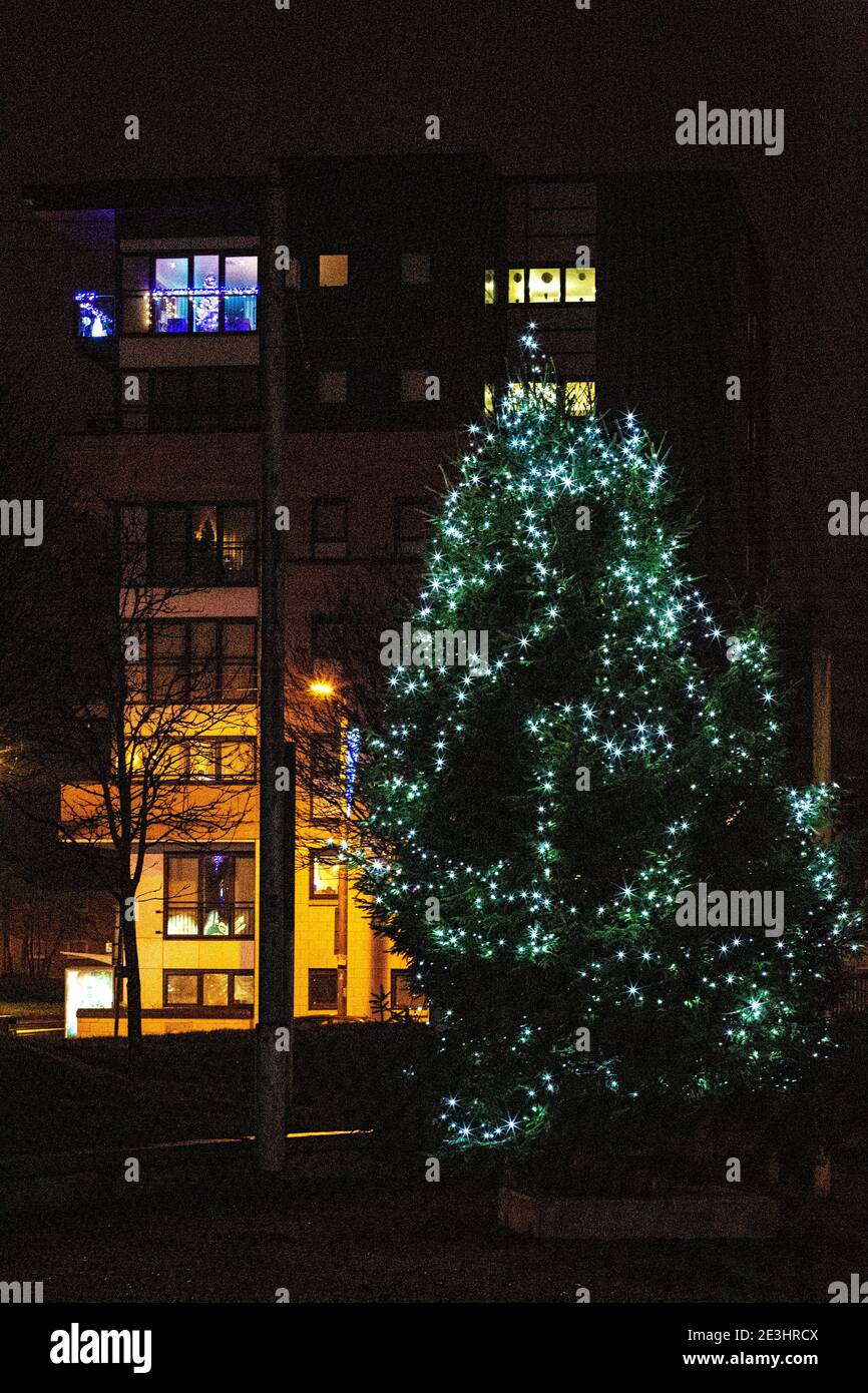 Christmas tree, Govanhill, Glasgow, Scotland Stock Photo