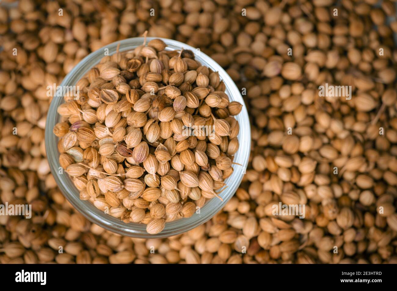 Top view of dried coriander fruits also known as coriander seeds Stock
