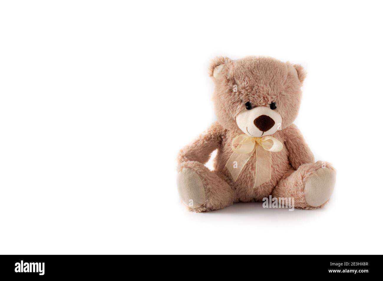 Teddy bear isolated on white background Stock Photo