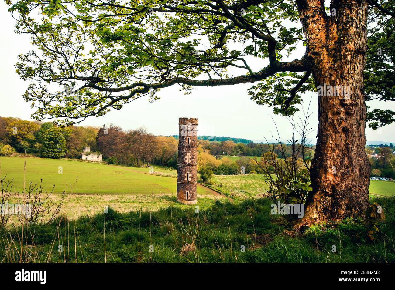 Camo water tower surrounded with tree branch as framing with green grass and leaves on spring midday in Edinburgh Stock Photo