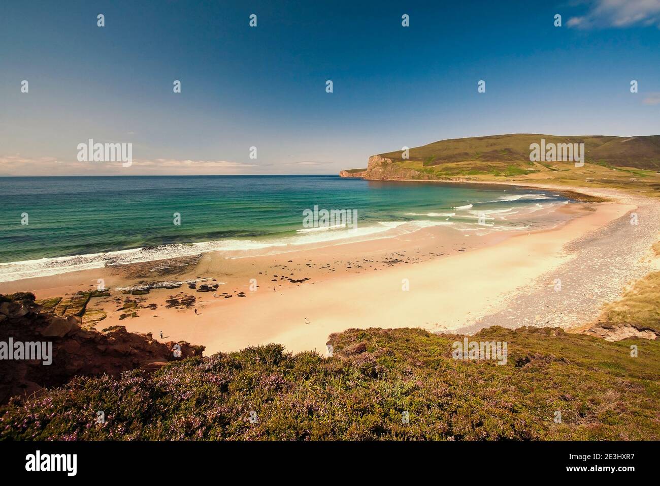 Aerial view of sandy beach and cliffs with heather in foreground on Orkey islands in Scotland Stock Photo