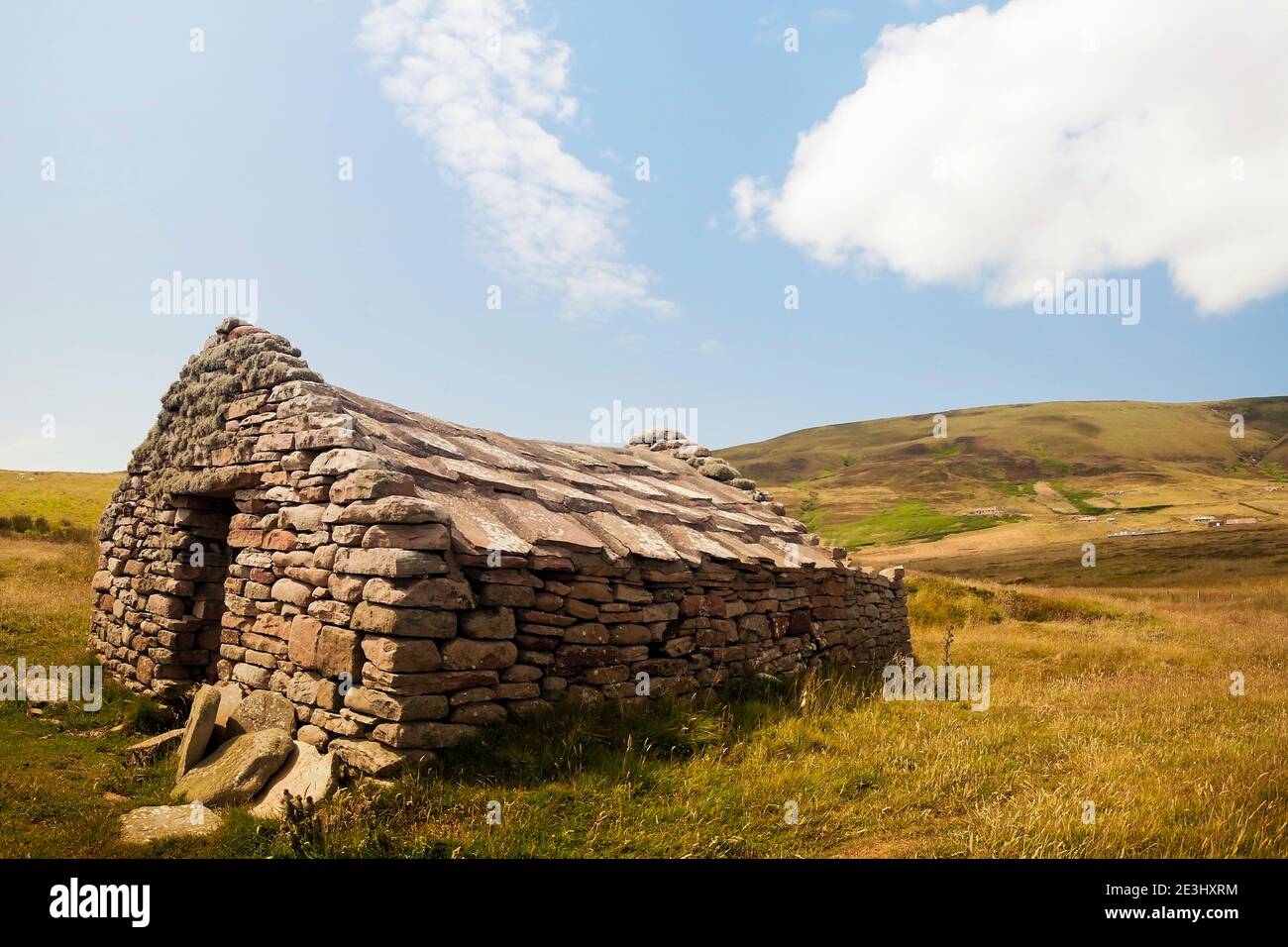 Abandoned stone build traditional scottish farm house with green hill in background on Orkney islands Stock Photo