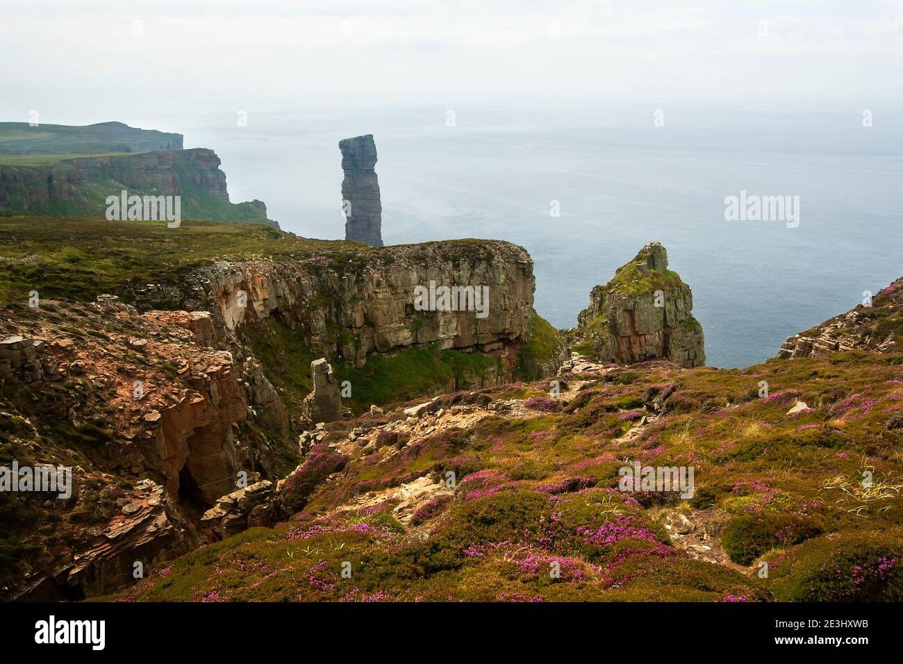 Famous Orkney sea stack Old Man of Hoy with cliffs and rock in foreground Stock Photo