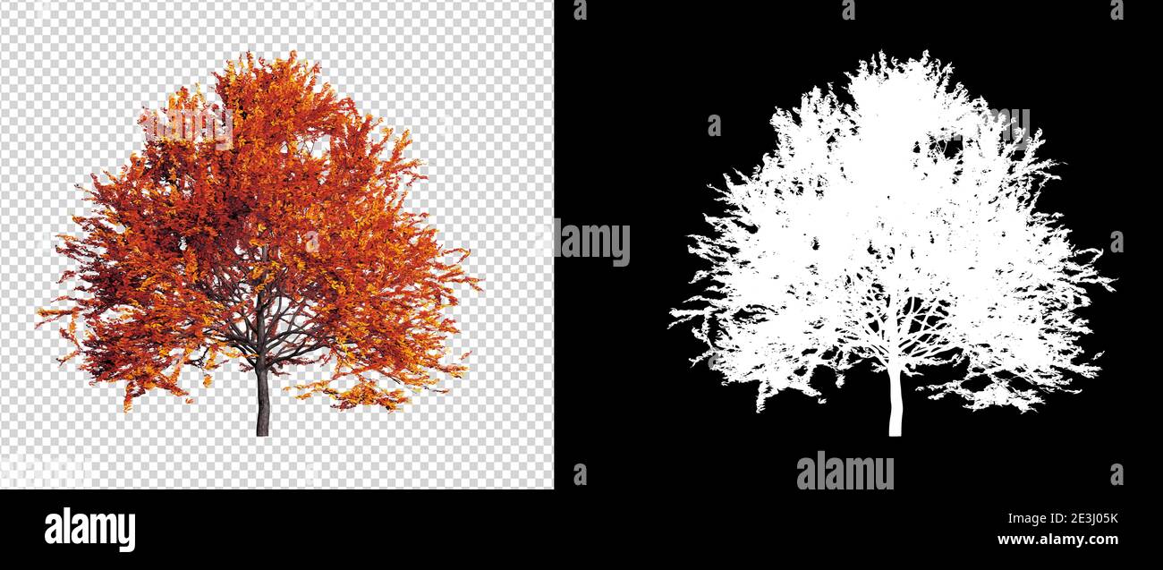 Autumn season tree on transparent background with clippings path, 3D ...