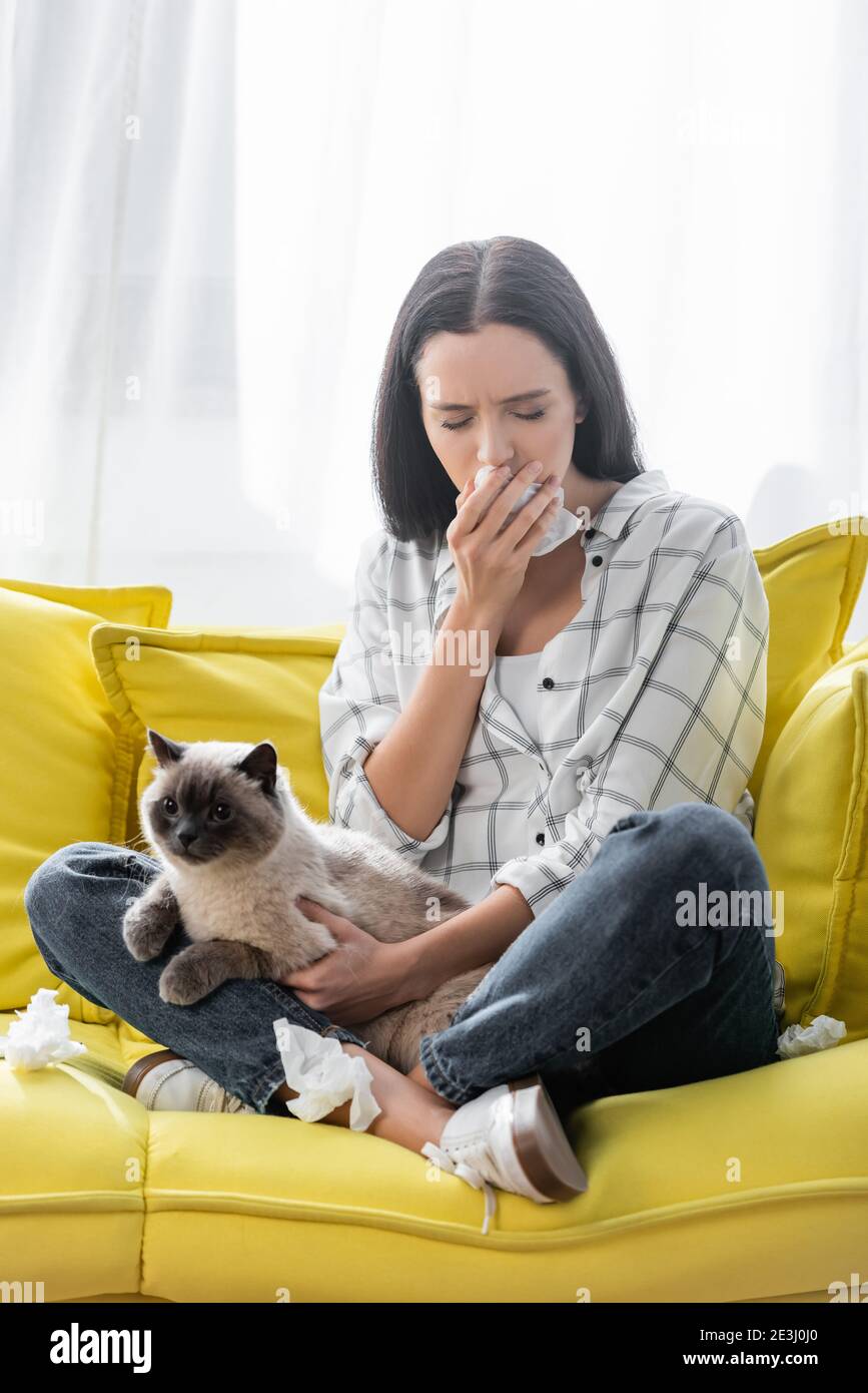 Allergic Cat High Resolution Stock Photography and Images Alamy