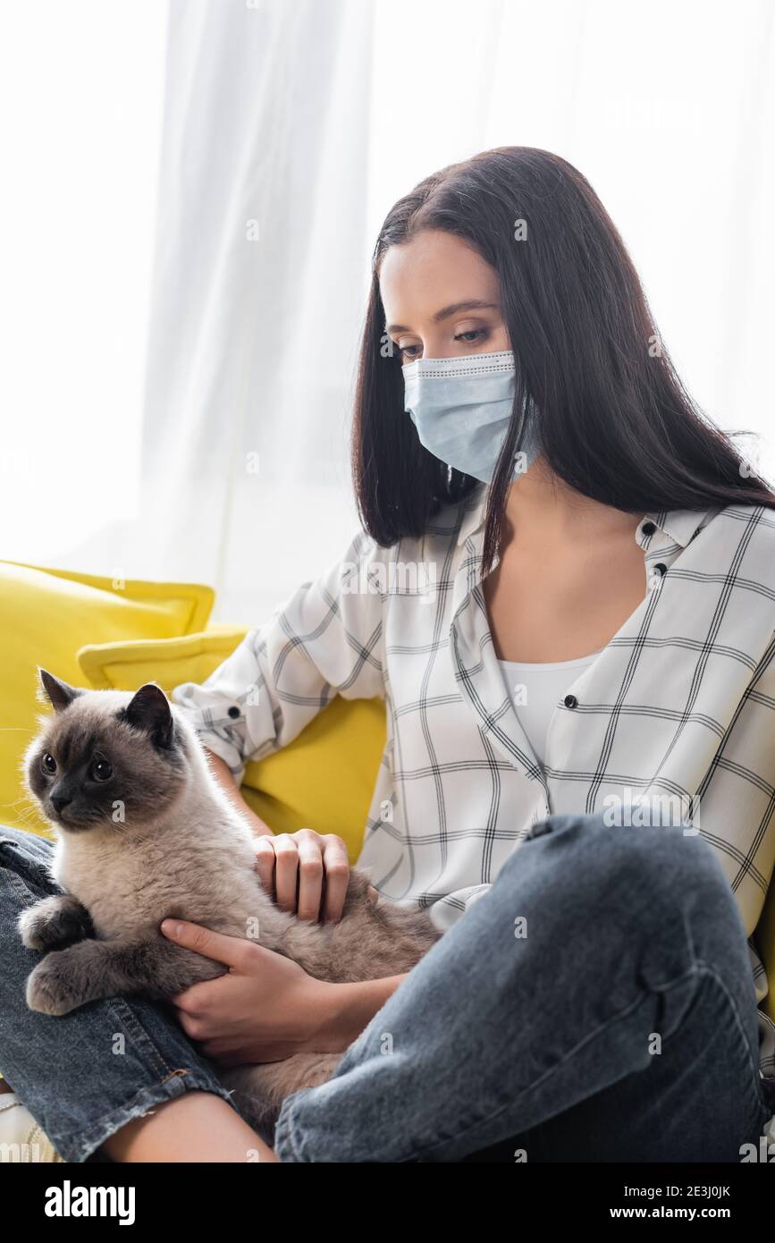 Allergic Cat High Resolution Stock Photography and Images Alamy