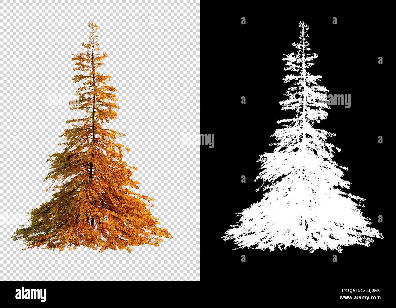 Autumn season tree on transparent background with clippings path, 3D ...